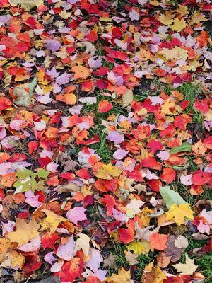 Savanna Portage State Park