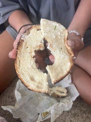 Old School Bagel Cafe