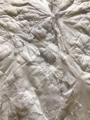 Sanitary Cleaners & Shirt Launderers