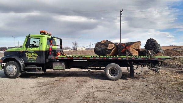 Odd Jobs and Dirty Work Tree Service