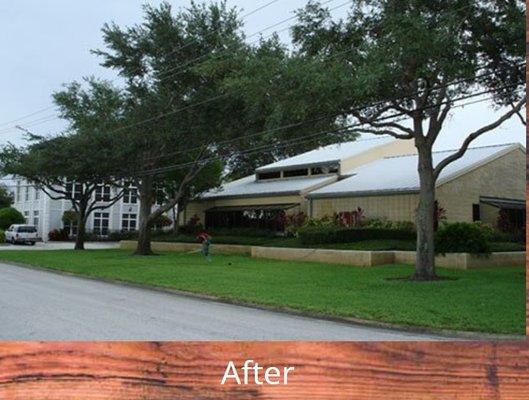 Bay City Tree Service