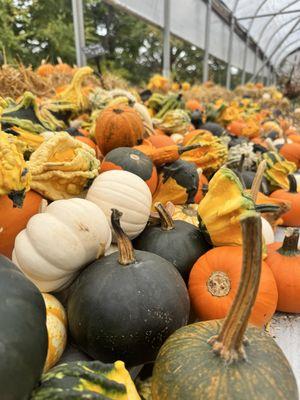 Dedrick’s Farm Market