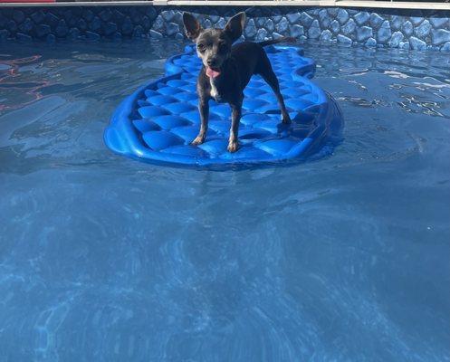 Atlas Pool Care and Repair