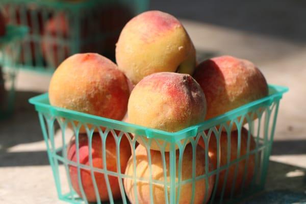 Chelsea's Down to Earth Farmers Market