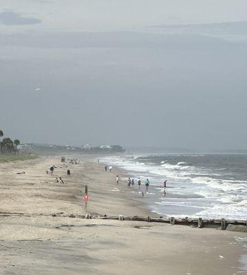 Edisto Beach State Park