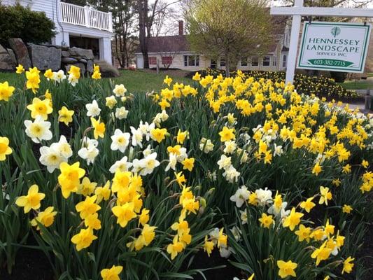 Hennessey Landscape Services Inc