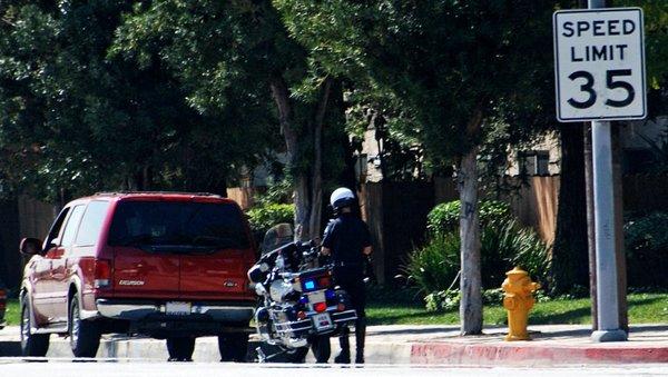 First Mind Bail Bond