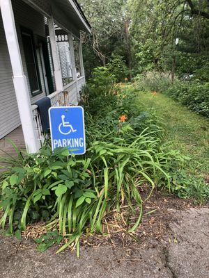 very mild picture of unmaintained beds