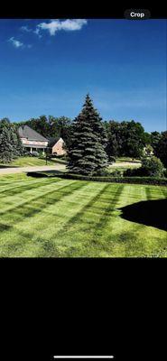 Spades Outdoor Services