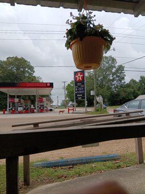 Main Street Grocery and Market