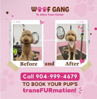 A great TransFURmation!