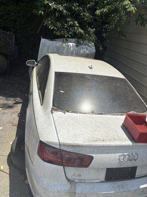 Malts Courier Services