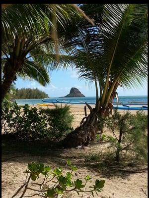 Kualoa Ranch