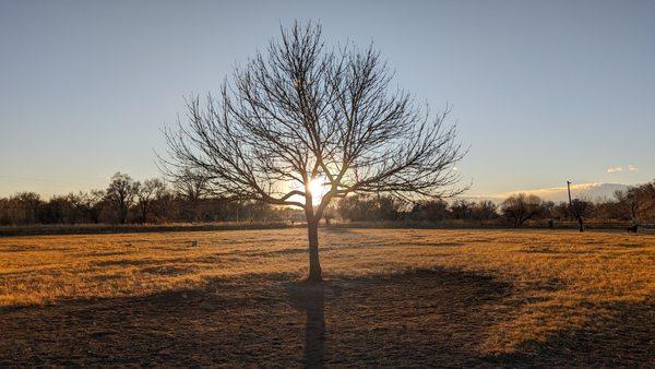 Happy to be in Colorado with such beautiful sunsets!