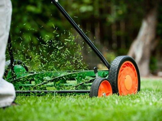 Reids Landscaping & Lawn Care