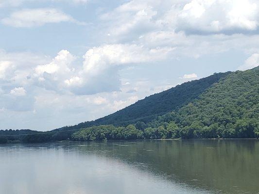 Carmen Medina Photography