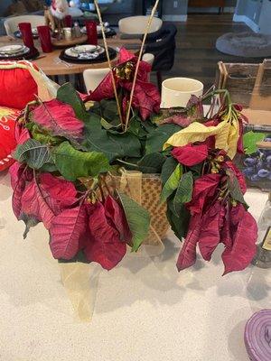 T D Florist Design & Gift