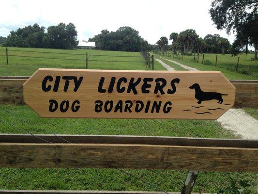 City Lickers
