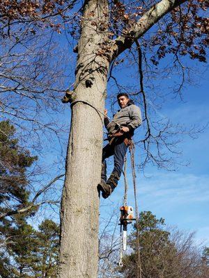 Alberto Landscaping and Tree Service