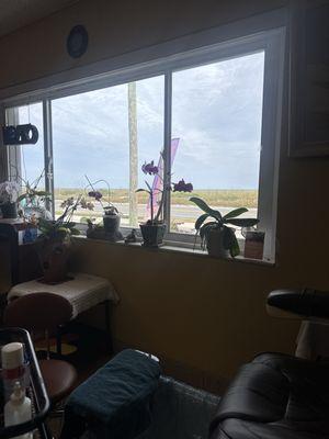 View while I'm getting my feet done!'