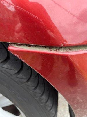 2001 BMW ZR Roadster
Rear bumper gapped . Car just detailed . Old caked dirt that was not visible , is now shown with damaged bumper .