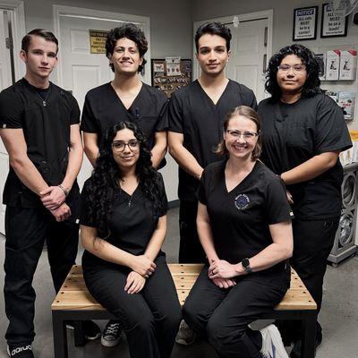 Main Street Animal Clinic