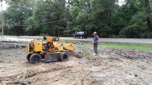 Already Done Stump Grinding