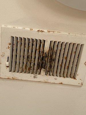 More black mold