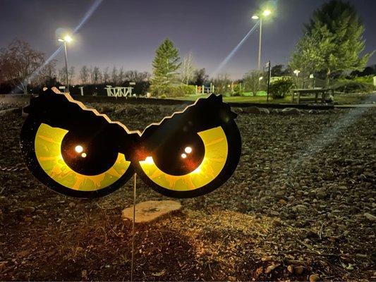 Paradise Golf and Recreation