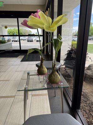 The California Eye Institute