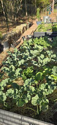 Mcdonough Equipment Attachments