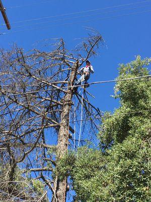 Diego’S Gardening Service