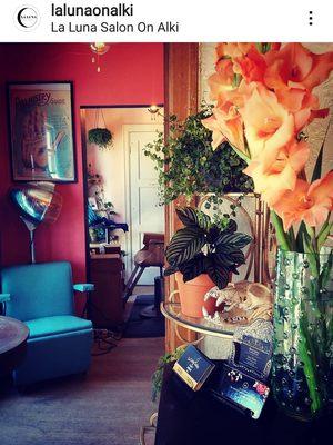 Our cute boutique Salon!