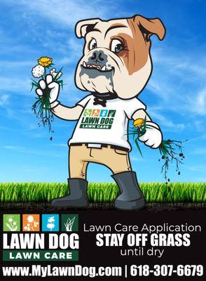 Lawn Dog Weed Control