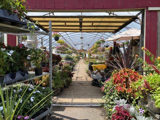 The Farm at Lloyd Road