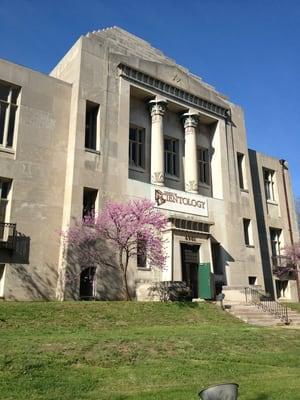 Church of Scientology