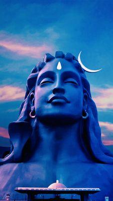 this is a picture from their location in india.