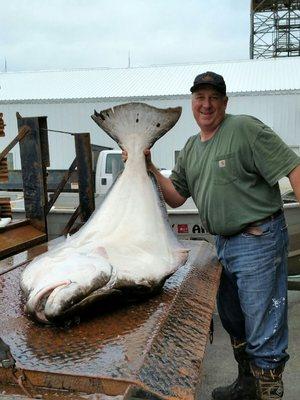 Alaska Moose and Spruce Cabins and Lodging