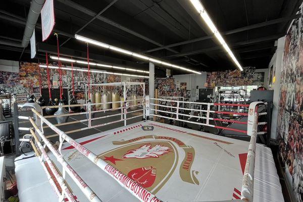 Alvarez Family Boxing