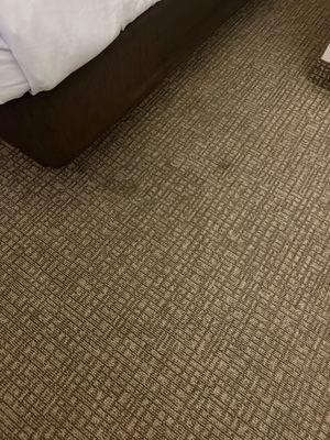 Staines on floor near second queen bed.