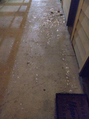 Tissue paper and shit from a drainage pipe they did nothing about