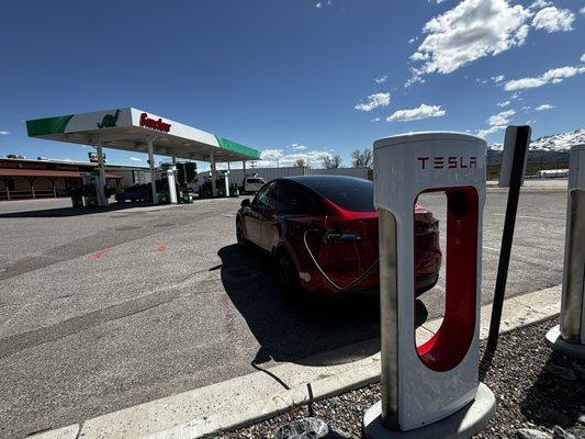 Next to the Dinasaur