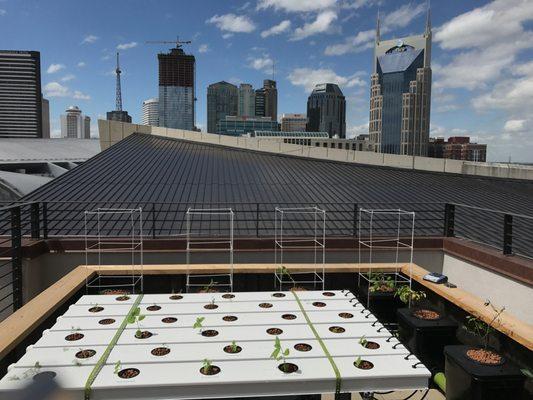 Grow Your Own Garden