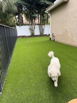 Elite Synthetic Turf, LLC