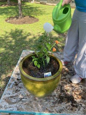 West Oaks Nursing And Rehabilitation Center