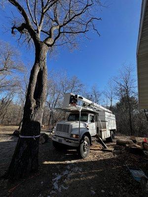 KrusinKings Tree Service