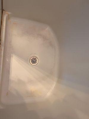 Breeze Cleaning And Organizing