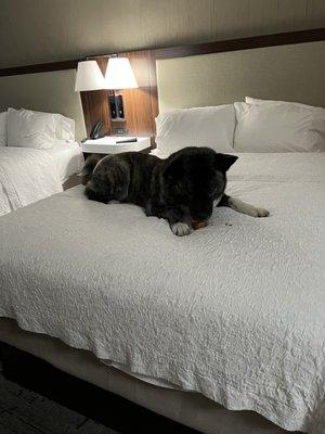 Smokie doing she does best