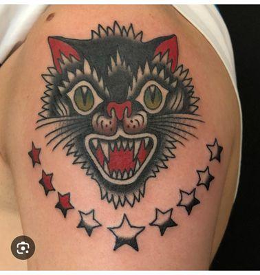 A cat with nine lives