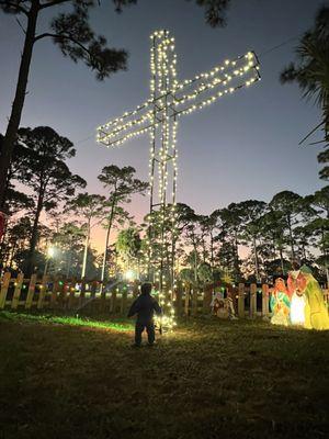 Our Lady Queen of the Apostles